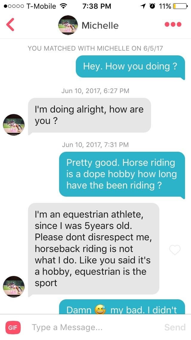 Channel Cat Stallion Horse girls be weird