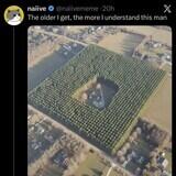 automatic lucid negative